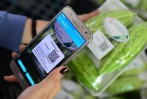 truy xuất nguồn gốc