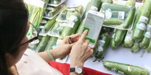 truy xuất nguồn gốc