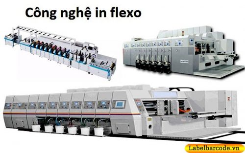 may-in-flexo-la-gi
