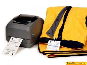 may_in_zebra_GK420T