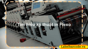 Tìm hiểu kỹ thuật in flexo