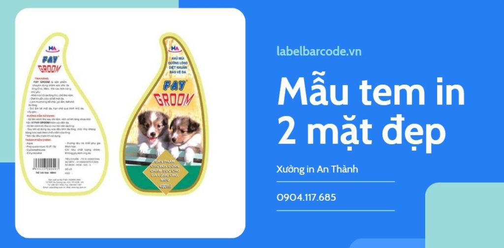 mau-tem-nhan-2-mat